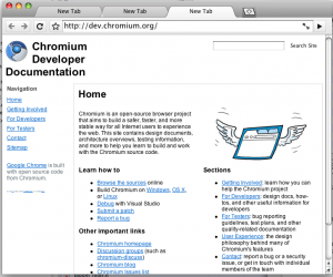 FirstChromePageEver